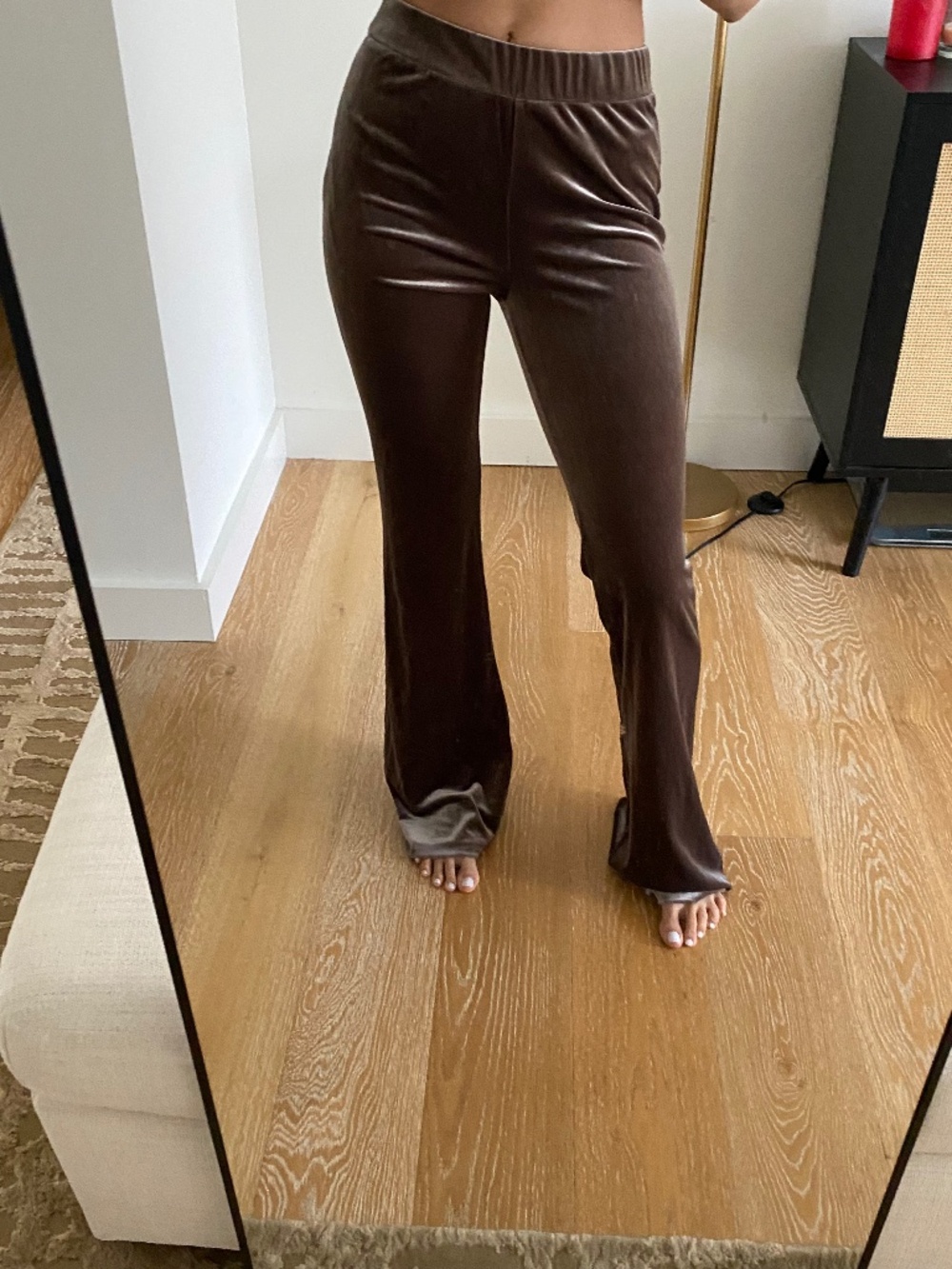 Zara Brown Velvet/ Velour Pants | Size XS